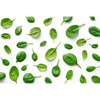 spinach (7)-5617473-85707.webp